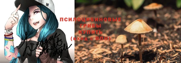 гидра Козельск
