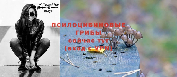 МДМА Кодинск