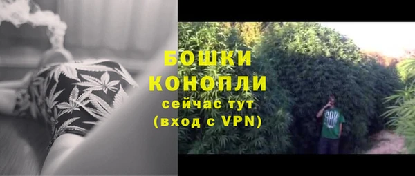 гидра Козельск