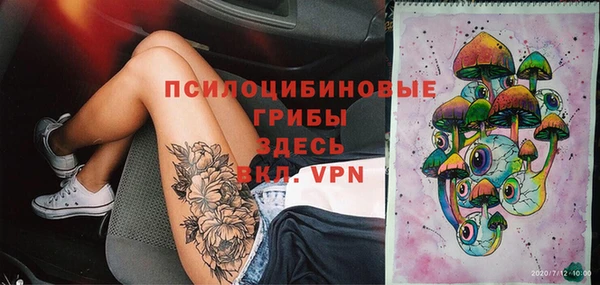 гидра Козельск