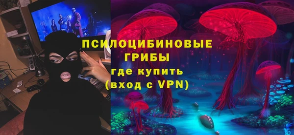 гидра Козельск