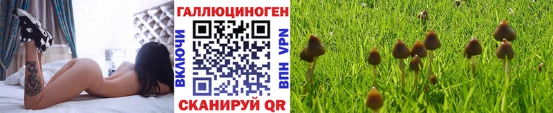 Галлюциногенные грибы MAGIC MUSHROOMS  Купить где  Чехов 